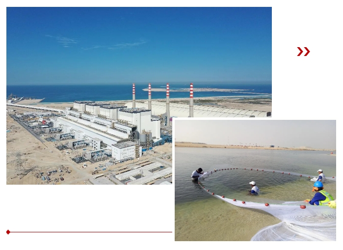 PA视讯(中国)集团官网 - PlayAce