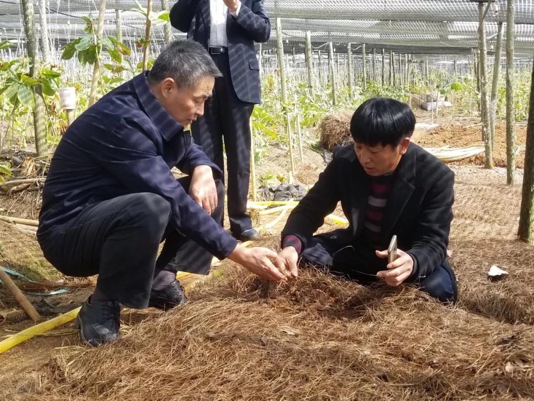 PA视讯(中国)集团官网 - PlayAce