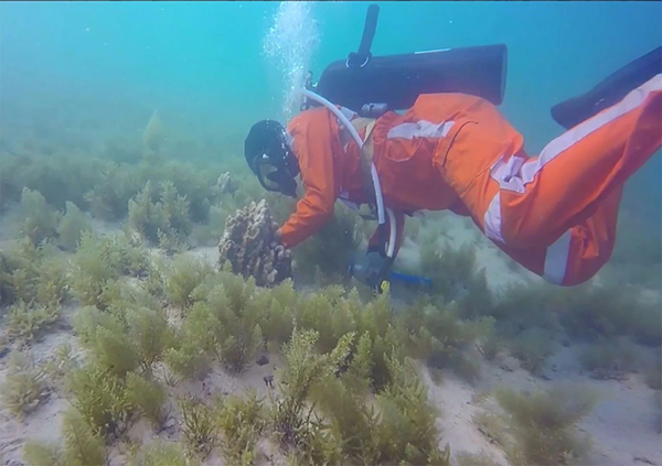 PA视讯(中国)集团官网 - PlayAce