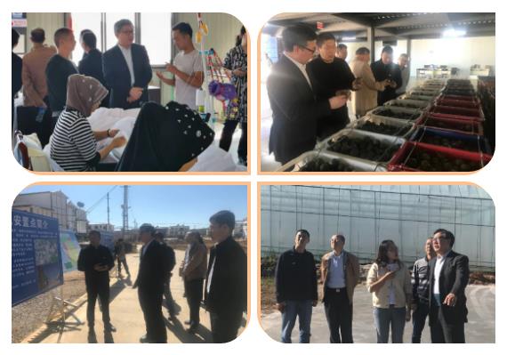 PA视讯(中国)集团官网 - PlayAce