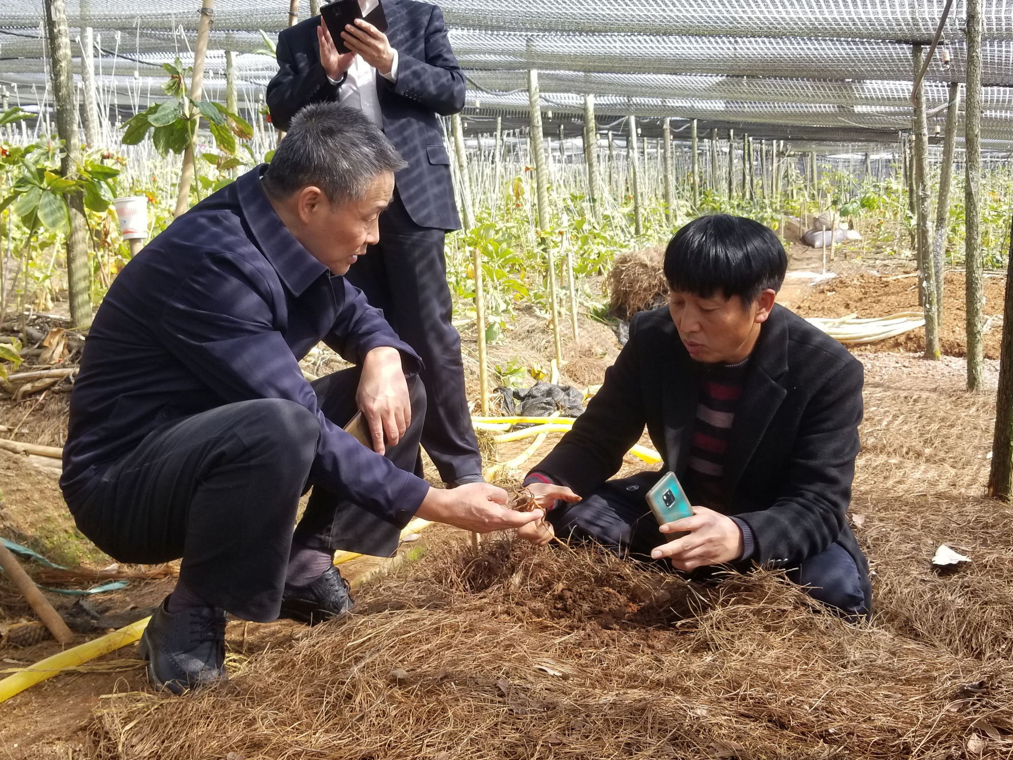 PA视讯(中国)集团官网 - PlayAce