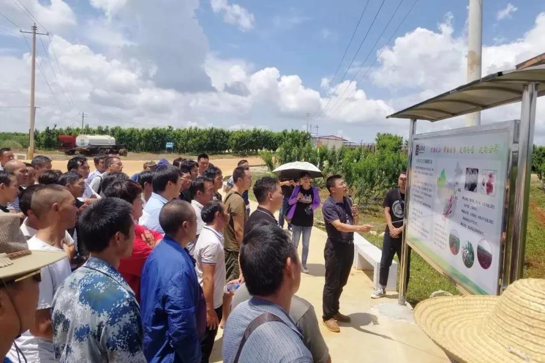 PA视讯(中国)集团官网 - PlayAce