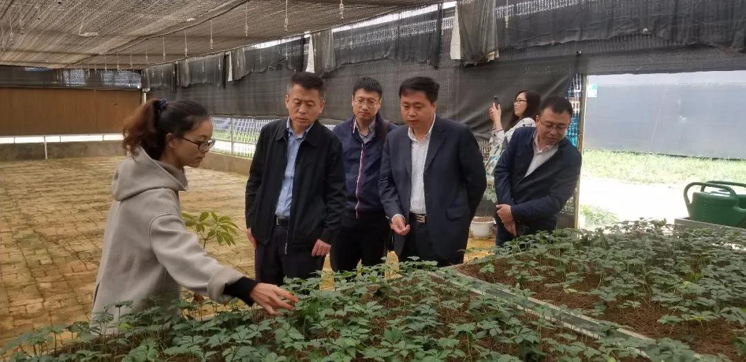 PA视讯(中国)集团官网 - PlayAce