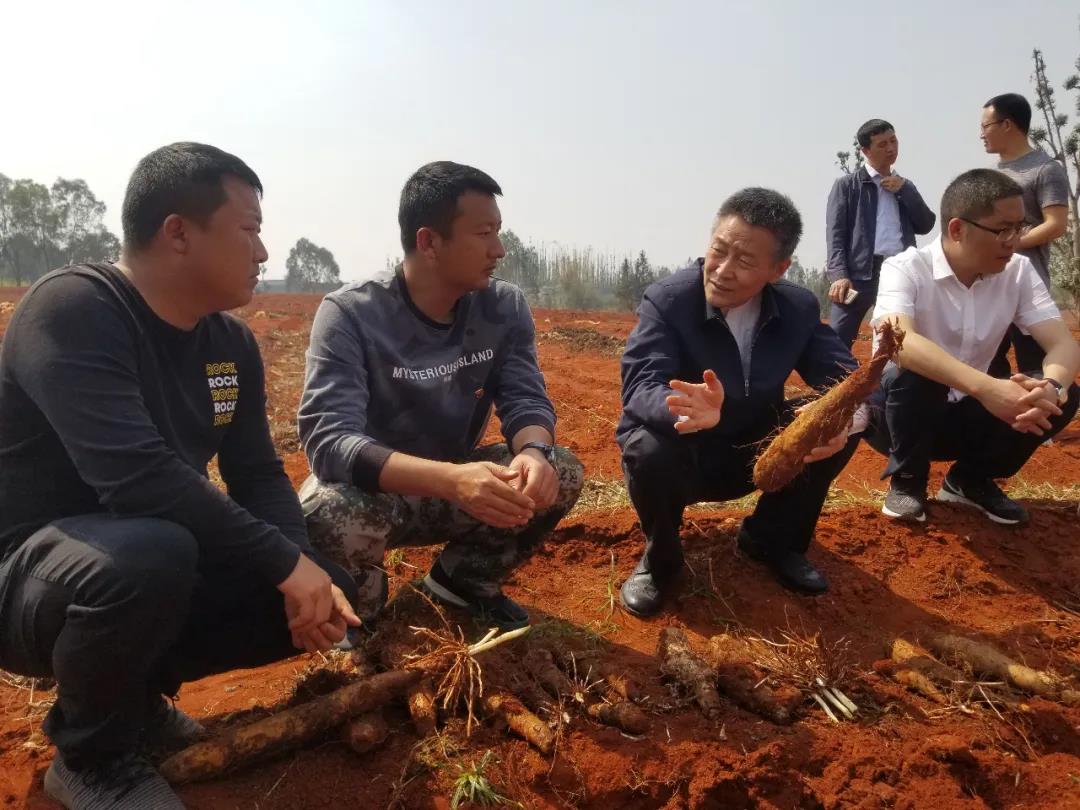 PA视讯(中国)集团官网 - PlayAce